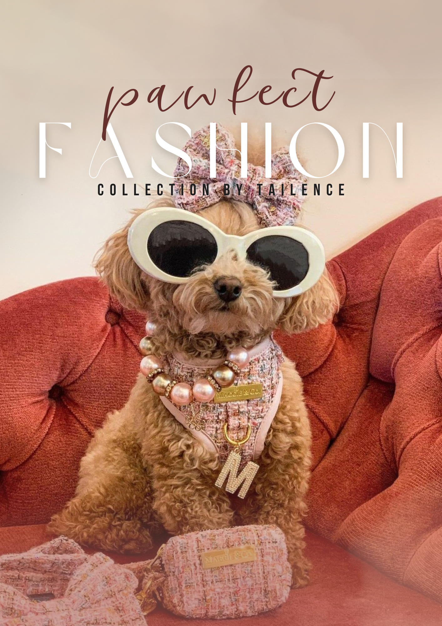 Pet Fashion