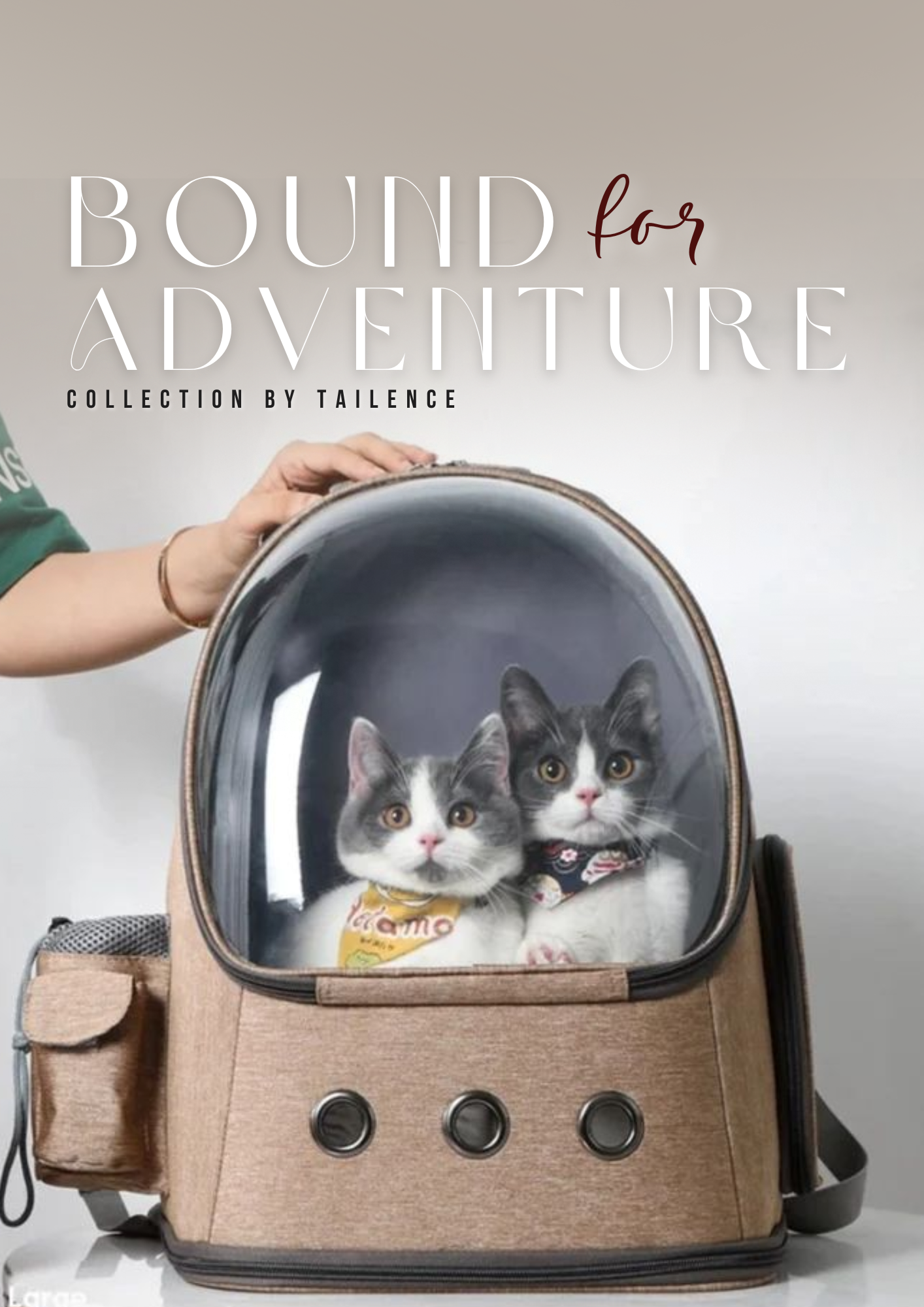 Pet travel essentials