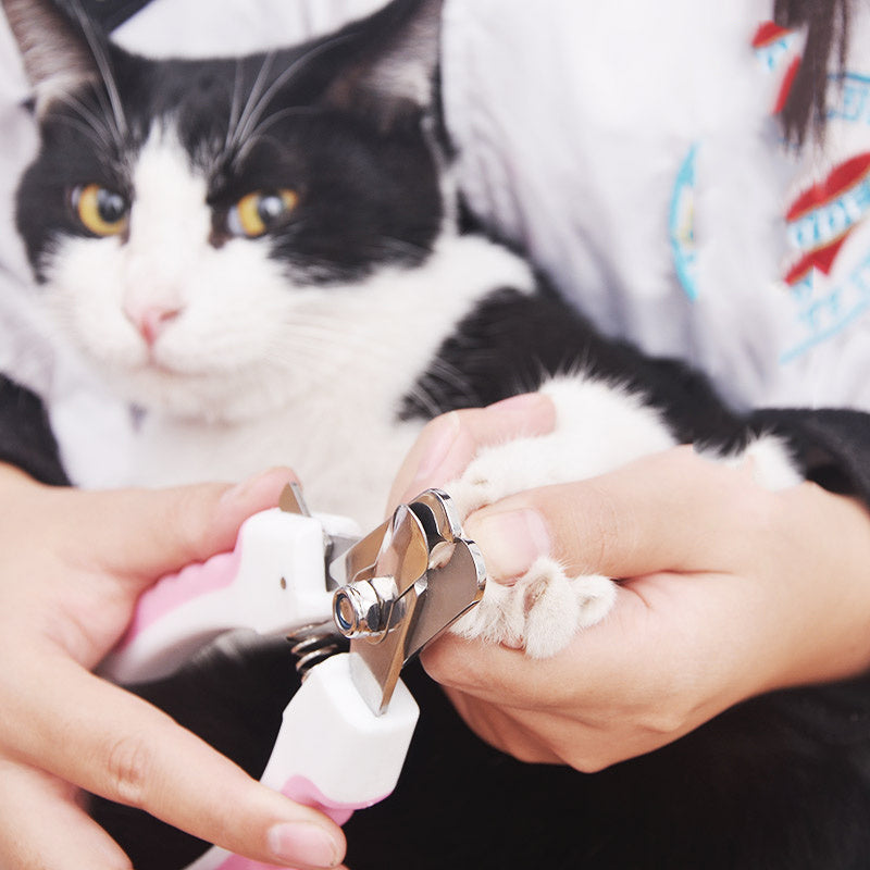 Pet Nail Clippers Safe, Sharp, and Easy to Use