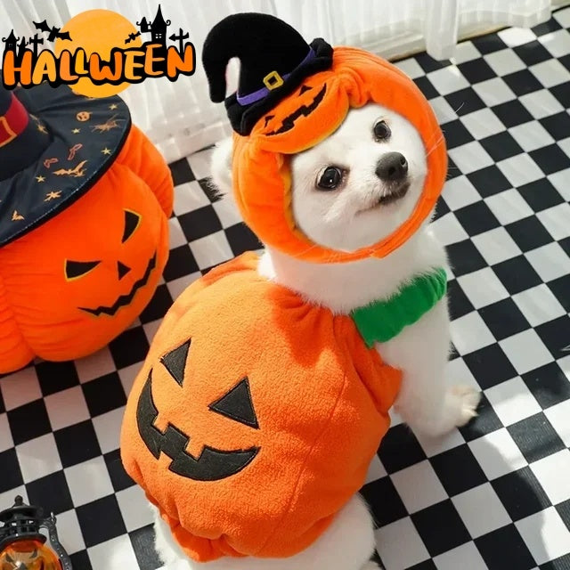 Halloween Pumpkin Vest (Dog / Cat) Festive & Fun Costume