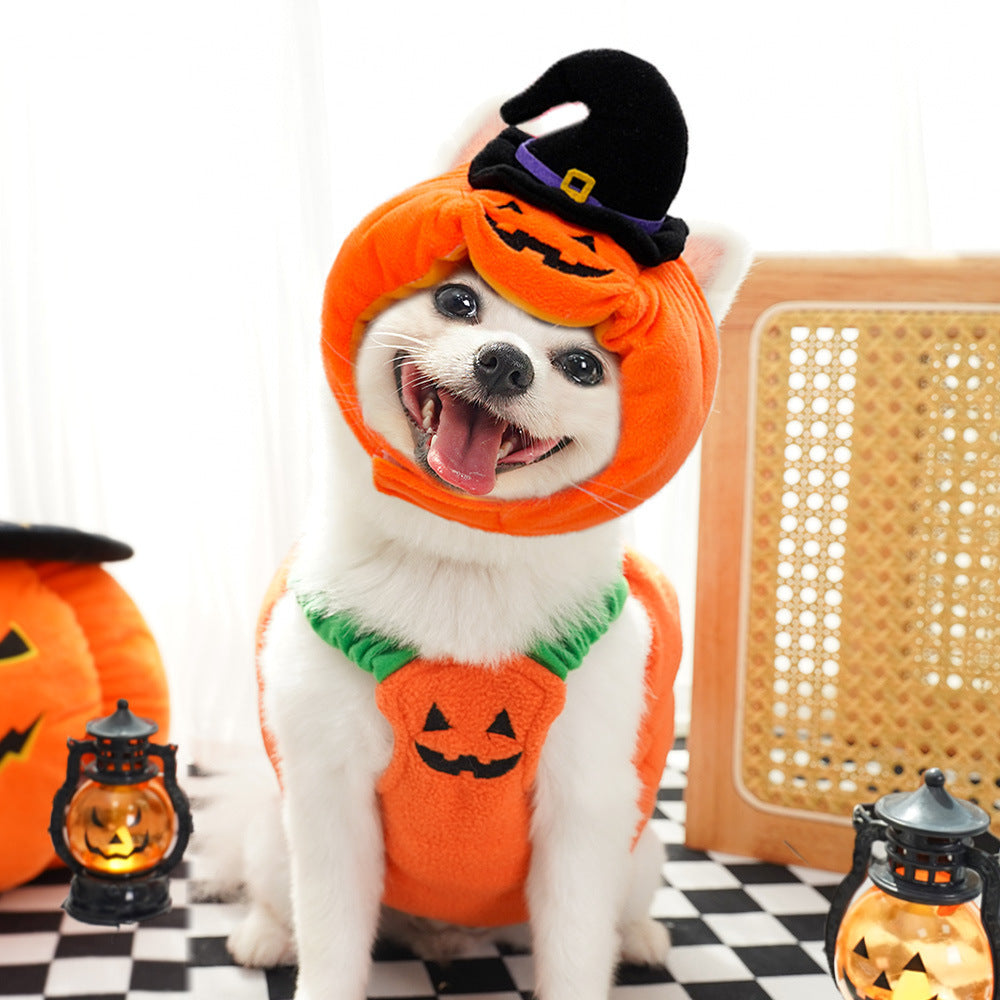 Halloween Pumpkin Vest (Dog / Cat) Festive & Fun Costume