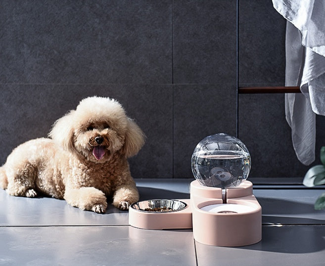 Automatic Pet Water Bowl and Feeder Dual Hydration System