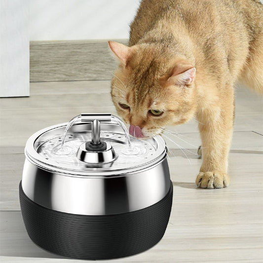 Cat Water Dispenser for Healthy Hydration