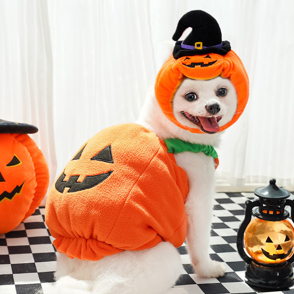 Halloween Pumpkin Vest (Dog / Cat) Festive & Fun Costume
