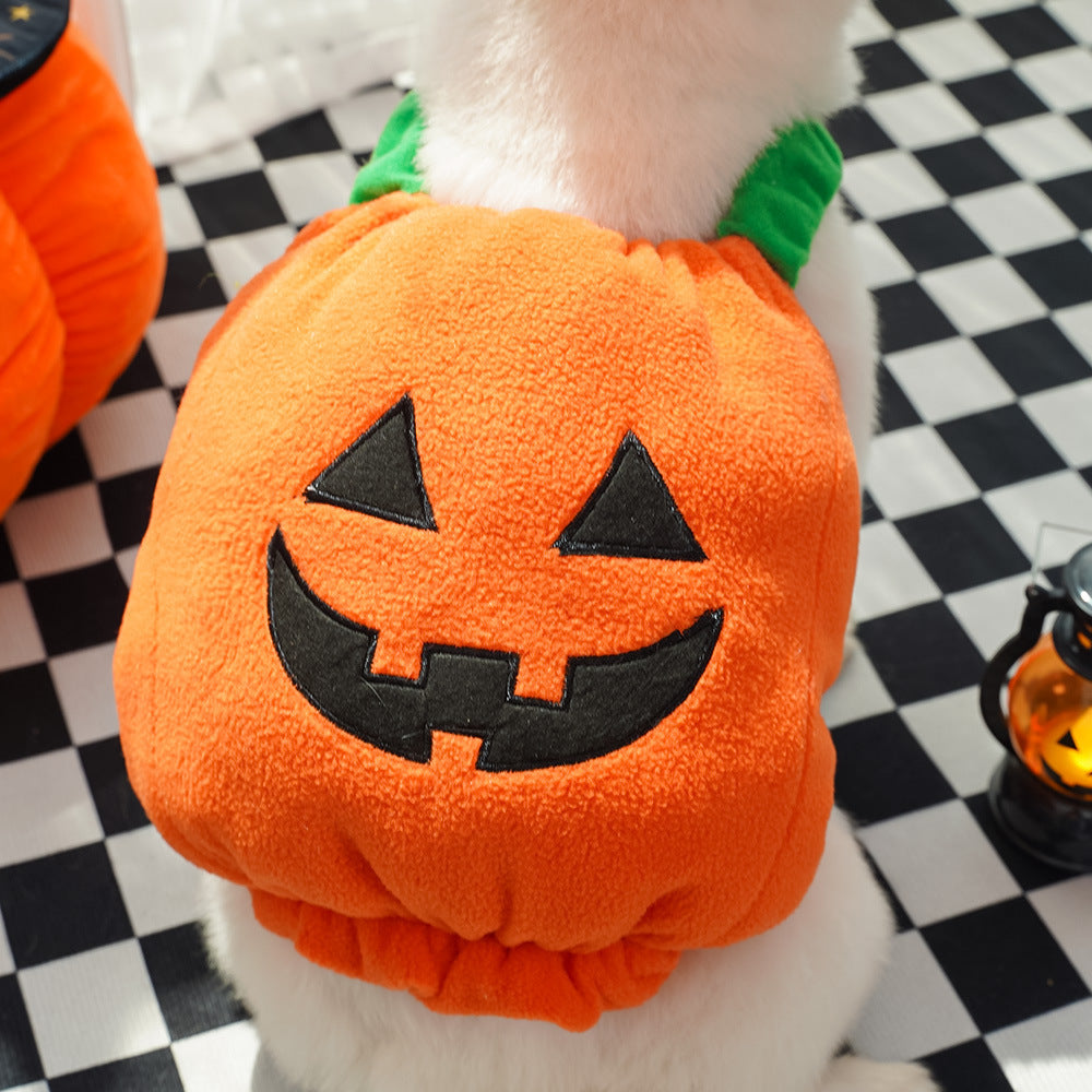 Halloween Pumpkin Vest (Dog / Cat) Festive & Fun Costume