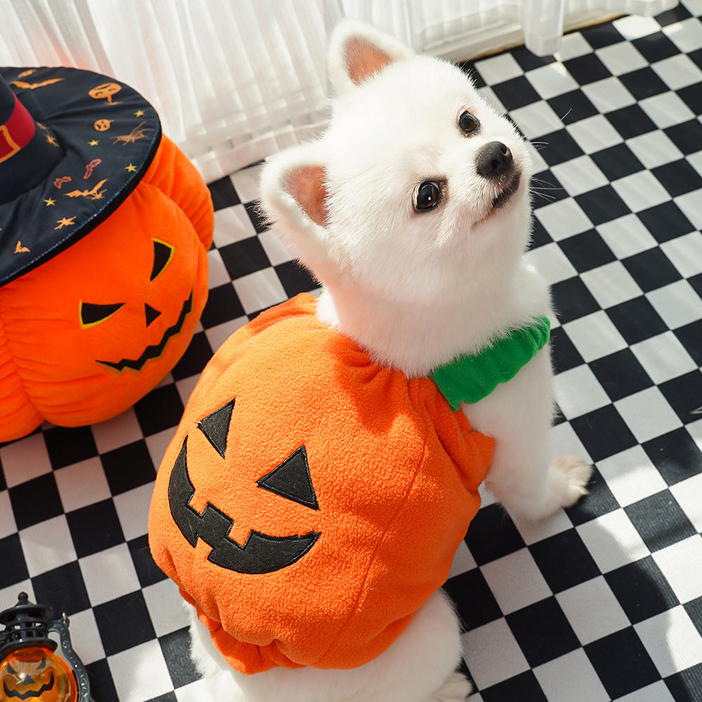 Halloween Pumpkin Vest (Dog / Cat) Festive & Fun Costume