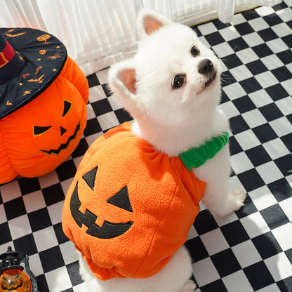 Halloween Pumpkin Vest (Dog / Cat) Festive & Fun Costume