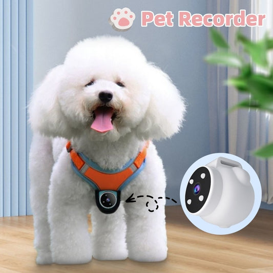 GPS Pet Tracker Collar with Camera Smart Pet Monitoring